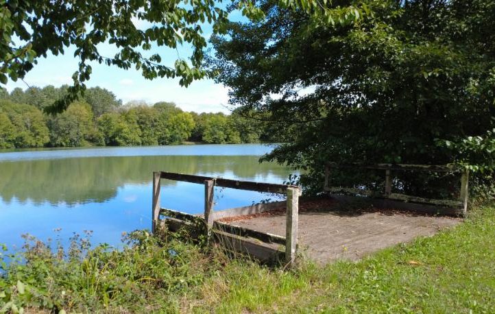 Villereal Carp Fishery Image
