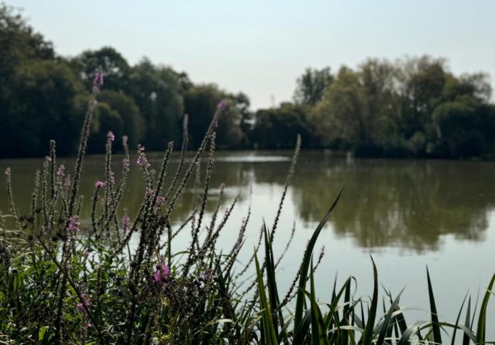 Oak View Lake Image