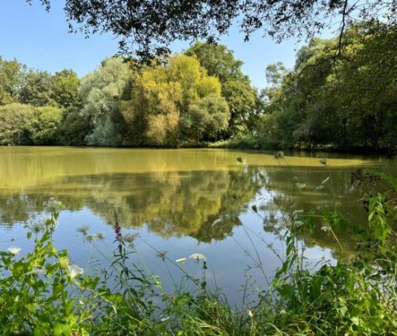 Oak View Lake Image