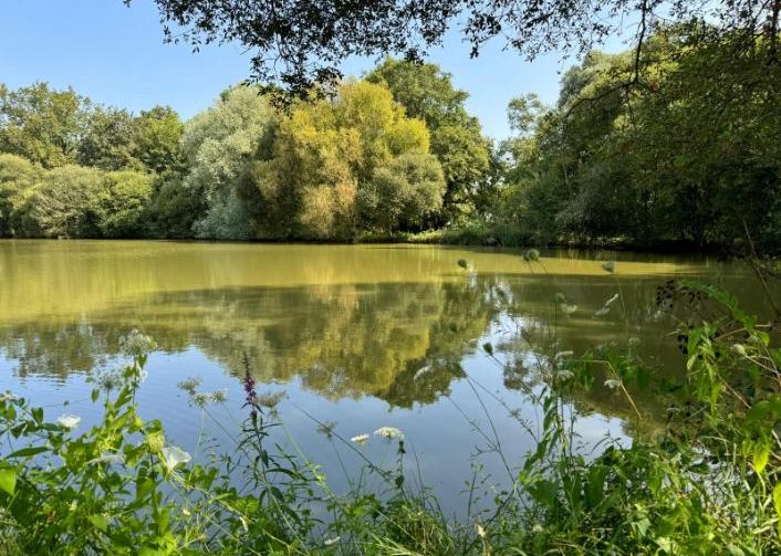 Oak View Lake Image