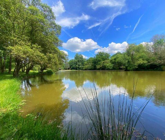 Oak View Lake Image