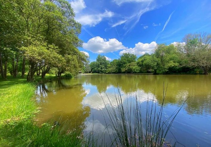 Oak View Lake Image