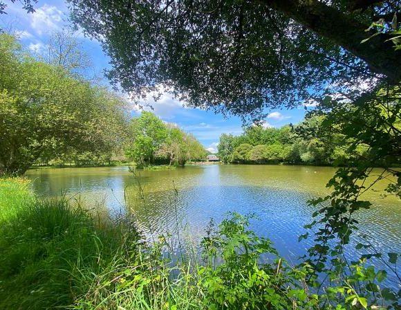 Oak View Lake Image
