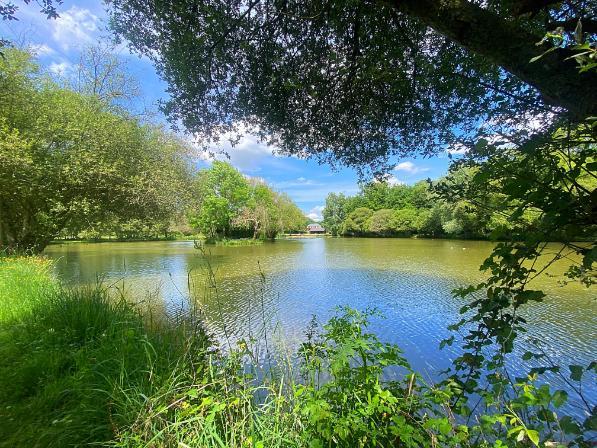 Oak View Lake Image