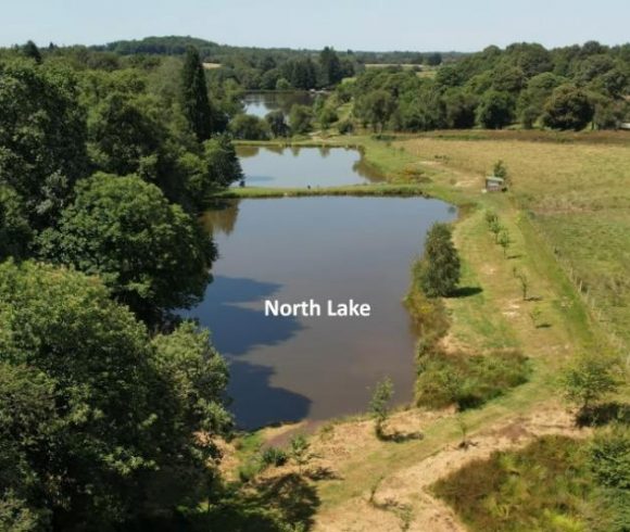 Domaine de Puyregonde North Lake Image