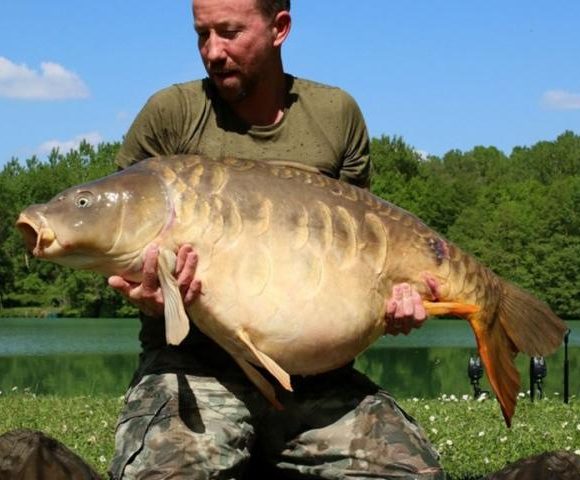 Villereal Carp Fishery Image