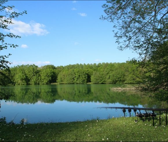 Villereal Carp Fishery Image