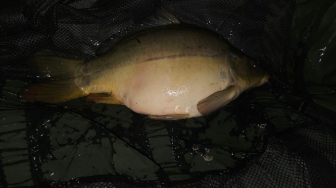 Etang de la Vilotte – 15 March, 2025