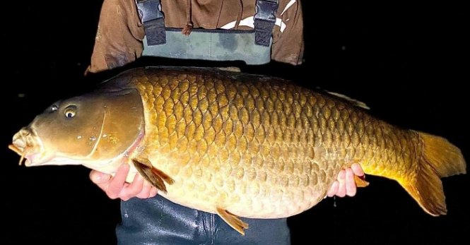 Lac Baleine – 26 April, 2025