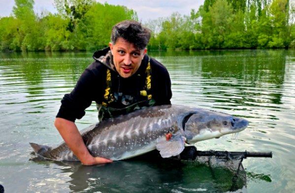 Cheshire Lake – 26 April, 2025