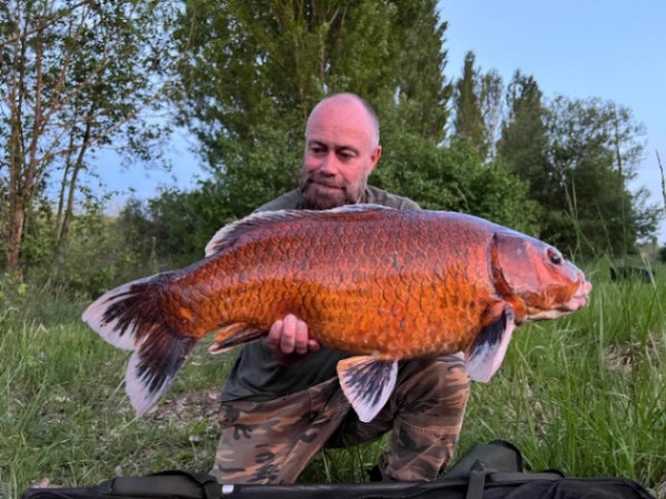 Authentic lake – 26 April, 2025