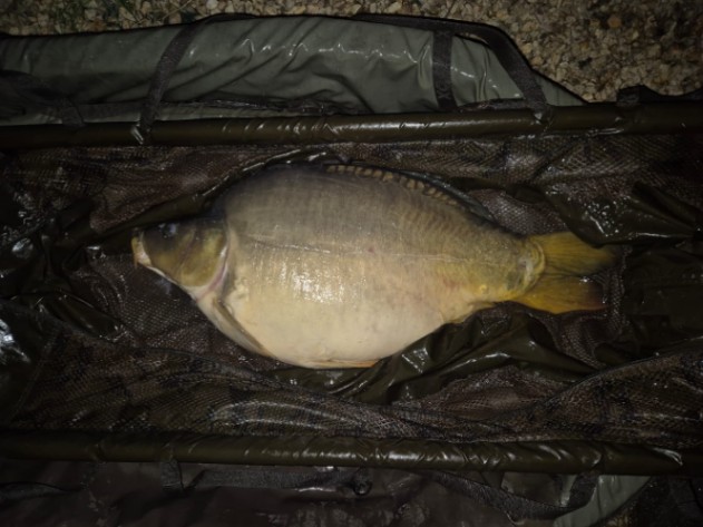 Puyravaud – Kingfisher Lake – 26 April, 2025