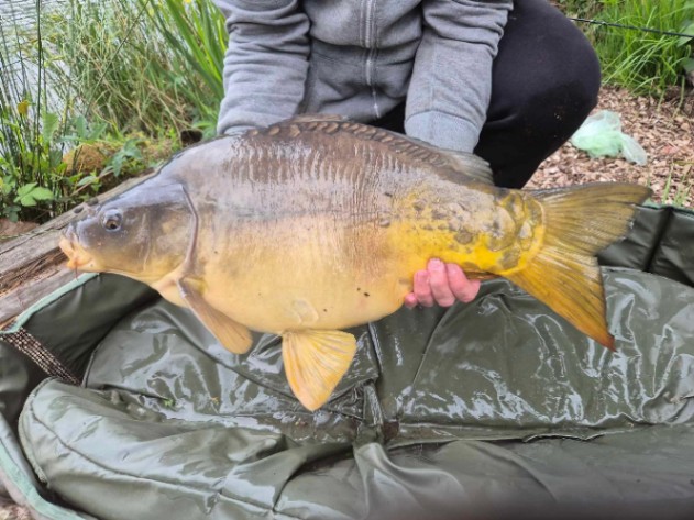 Etang de la Vilotte – 03 May, 2025