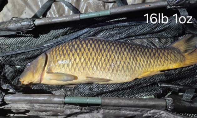 Etang de la Vilotte – 03 May, 2025