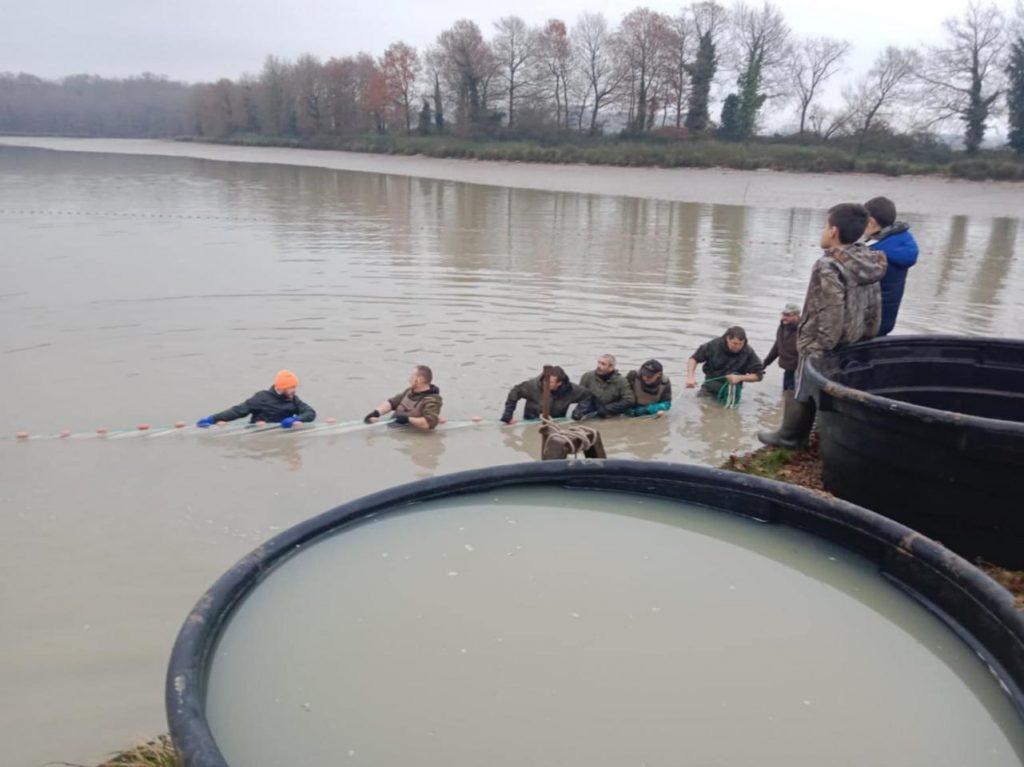 Carp lake netting France