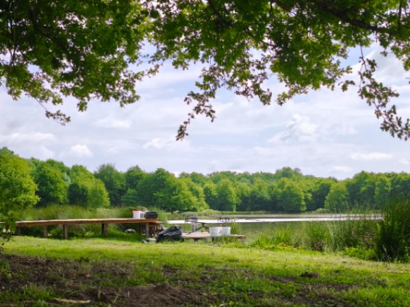 The Cottage Lake – 23 May, 2025