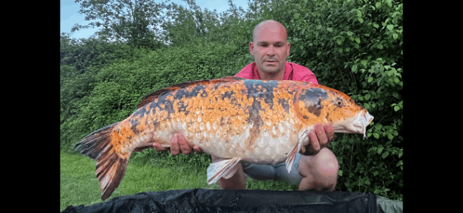 Domaine de Grand Felin – 02 May, 2025