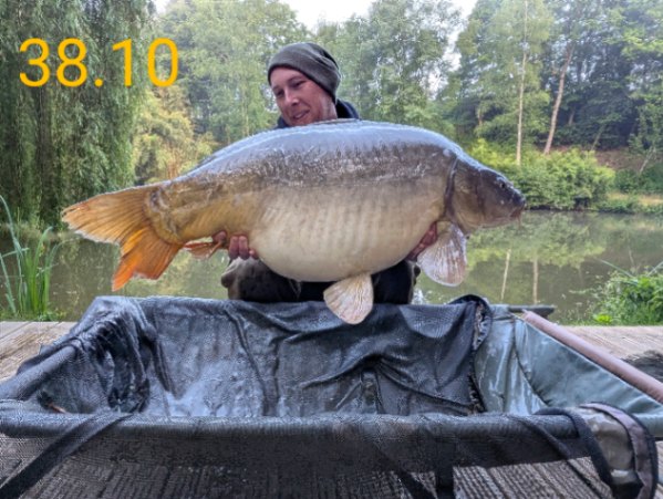 Chestnut Pool: 24-05-2025 to 31-05-2025