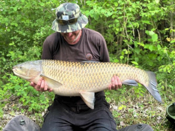 Authentic lake – 21 June, 2025