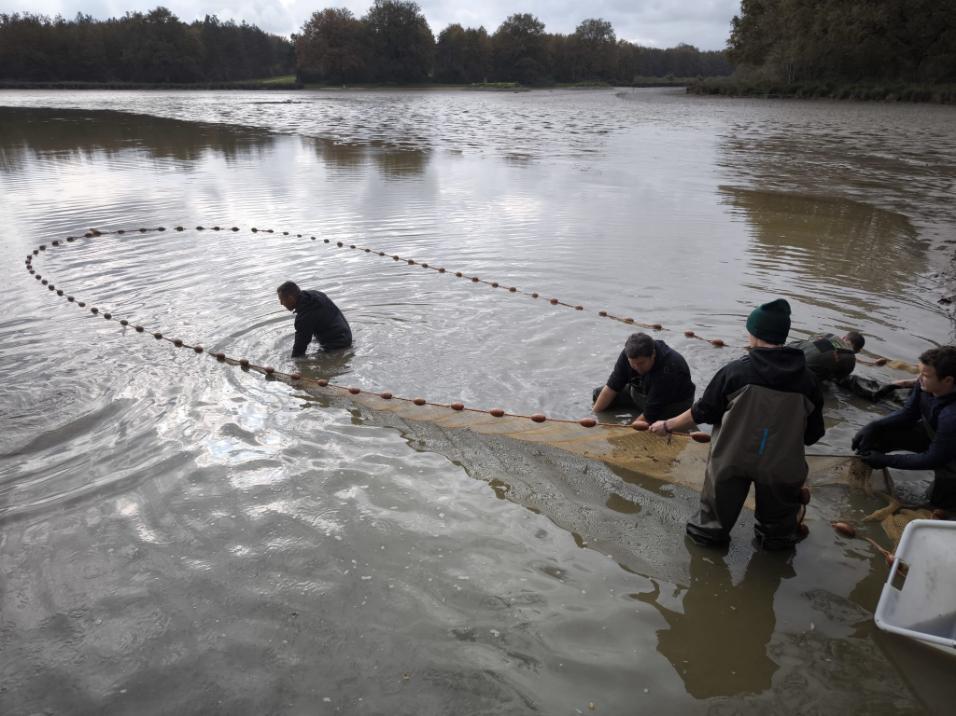 Lake netting - Carp lake France