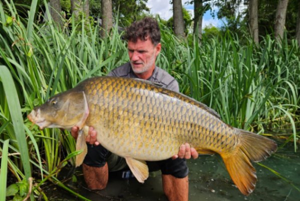 Les Saisons – 16 July, 2025