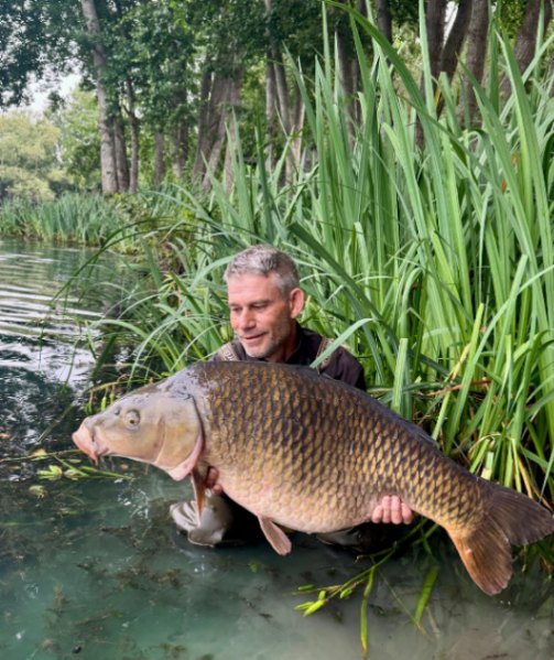 Les Saisons – 16 July, 2025