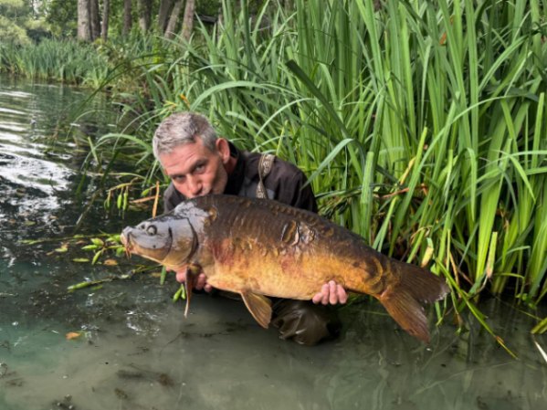 Les Saisons – 16 July, 2025