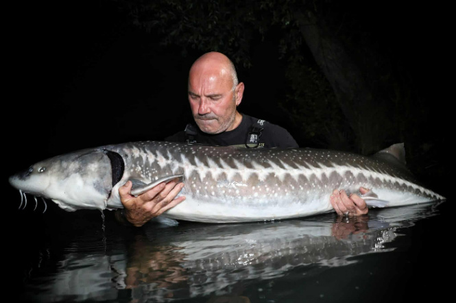 Cheshire Lake – 05 July, 2025