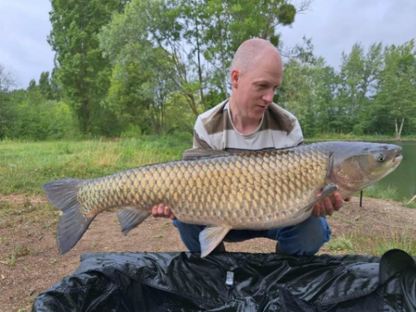 Authentic lake – 05 July, 2025