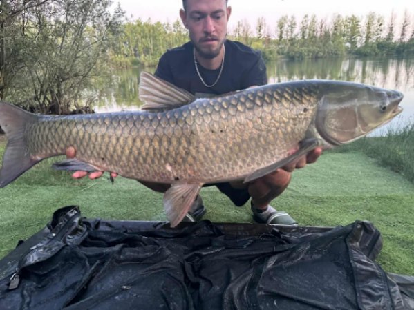 Authentic lake – 05 July, 2025