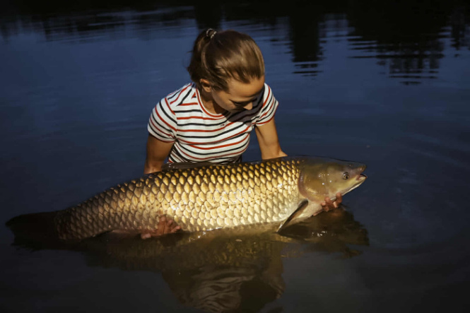 Cheshire Lake – 20 July, 2025