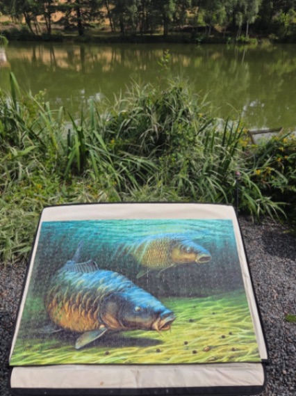 Blue Dart Carp Fishery – 20 July, 2025
