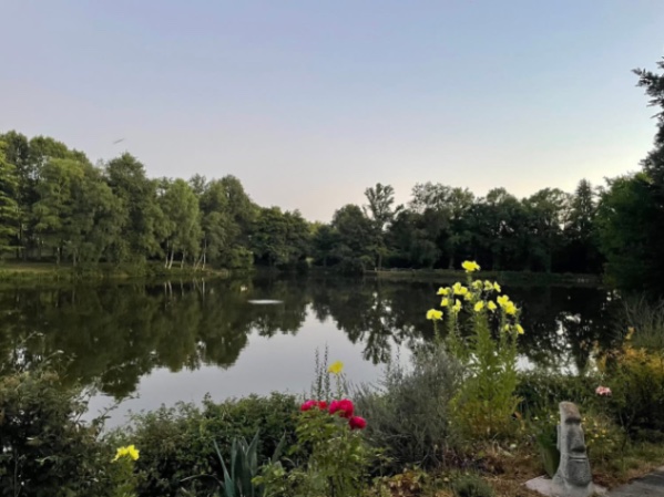 Blue Dart Carp Fishery – 26 July, 2025