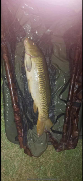 Cheshire Lake – 09 August, 2025