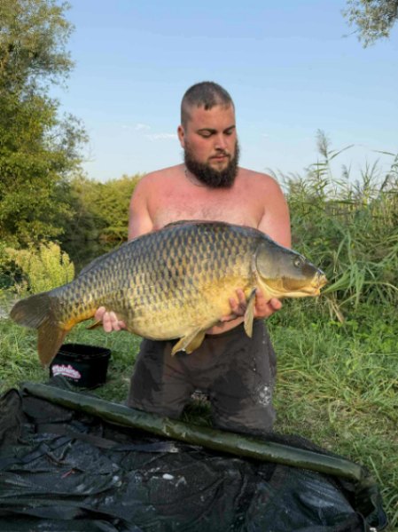Cheshire Lake – 09 August, 2025