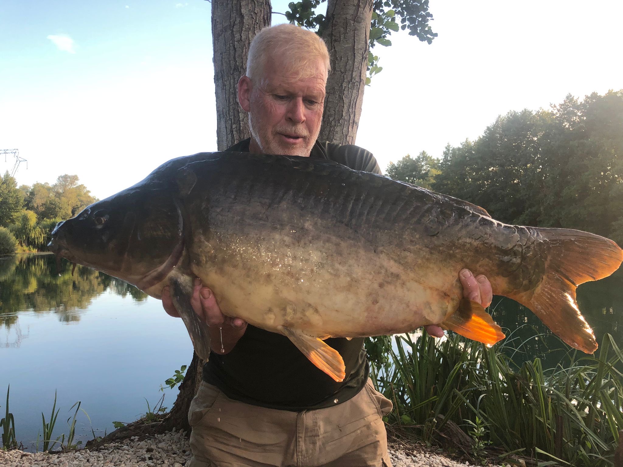 Les Saisons – 23 August, 2025