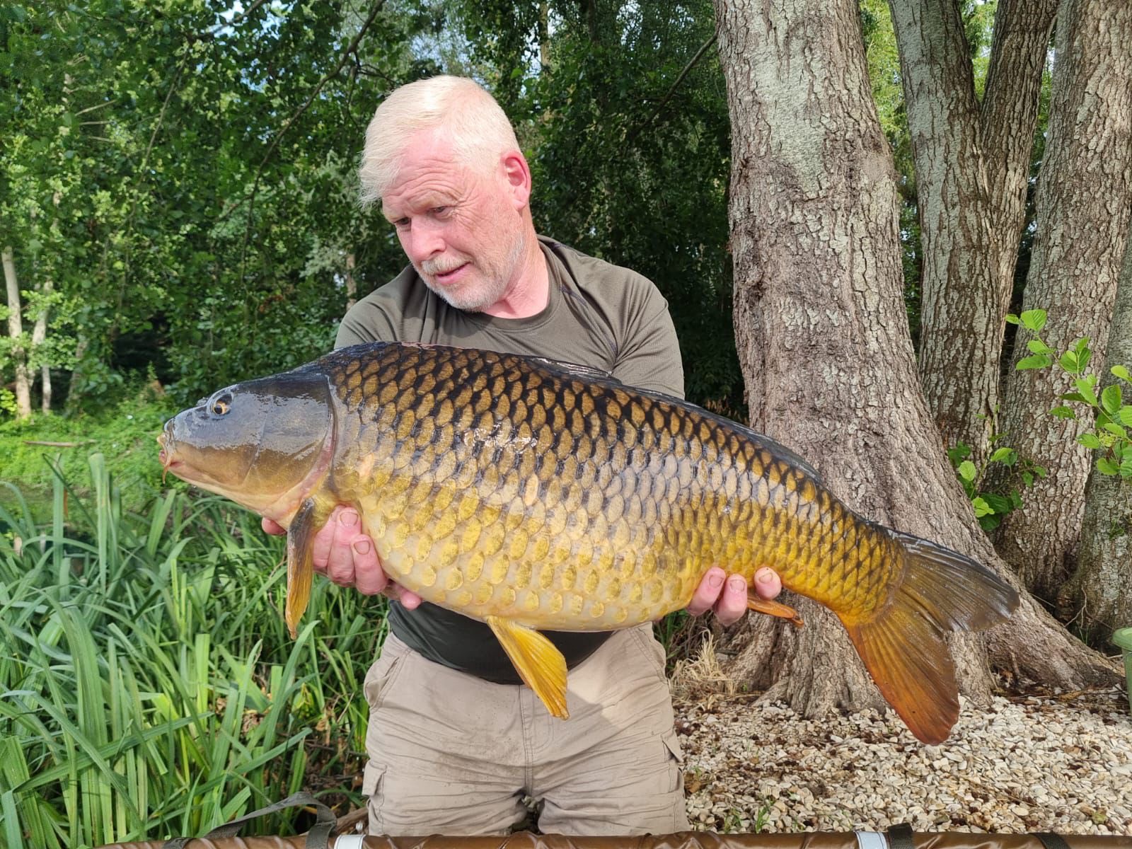 Les Saisons – 23 August, 2025