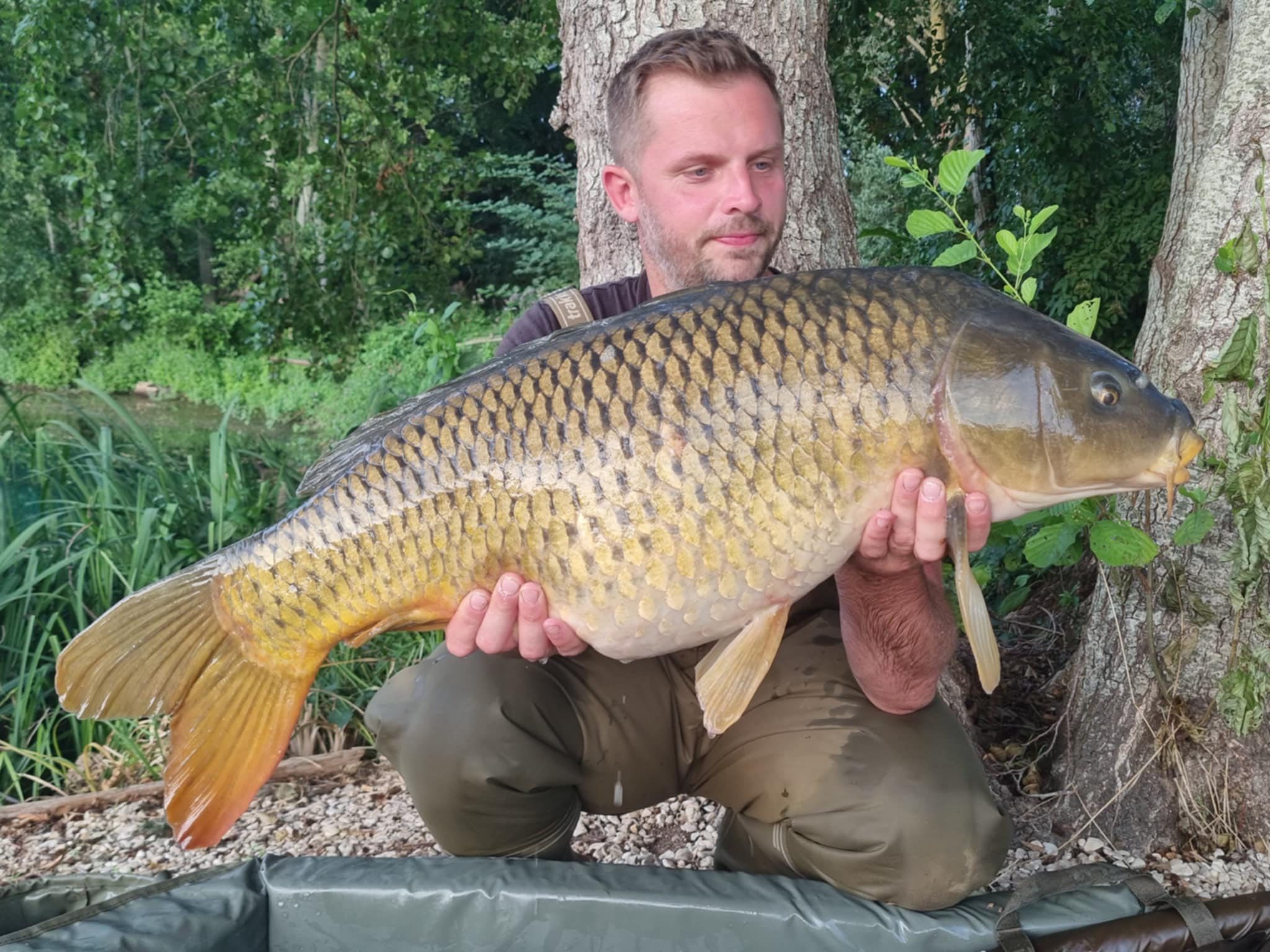 Les Saisons – 23 August, 2025