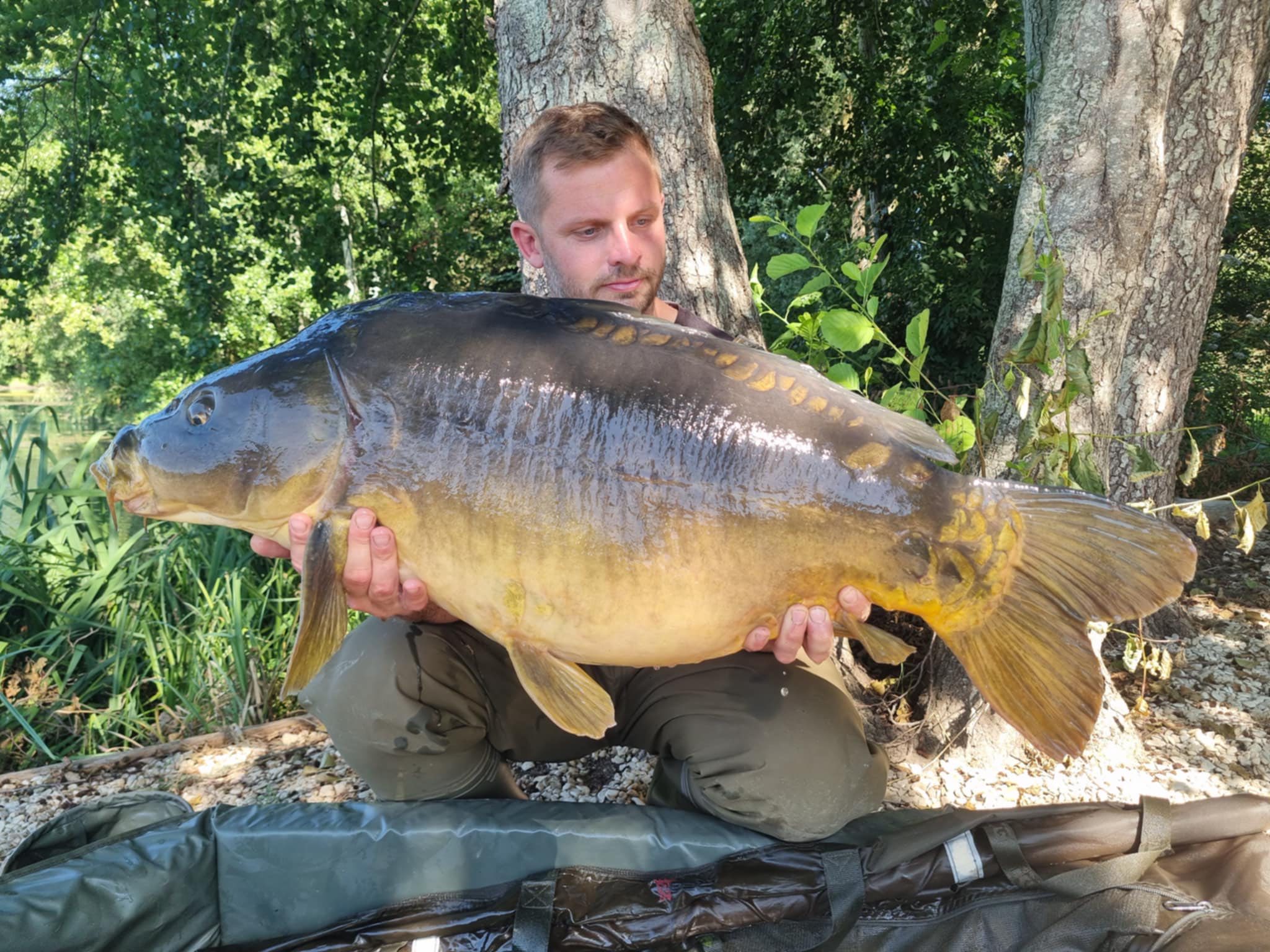 Les Saisons – 23 August, 2025