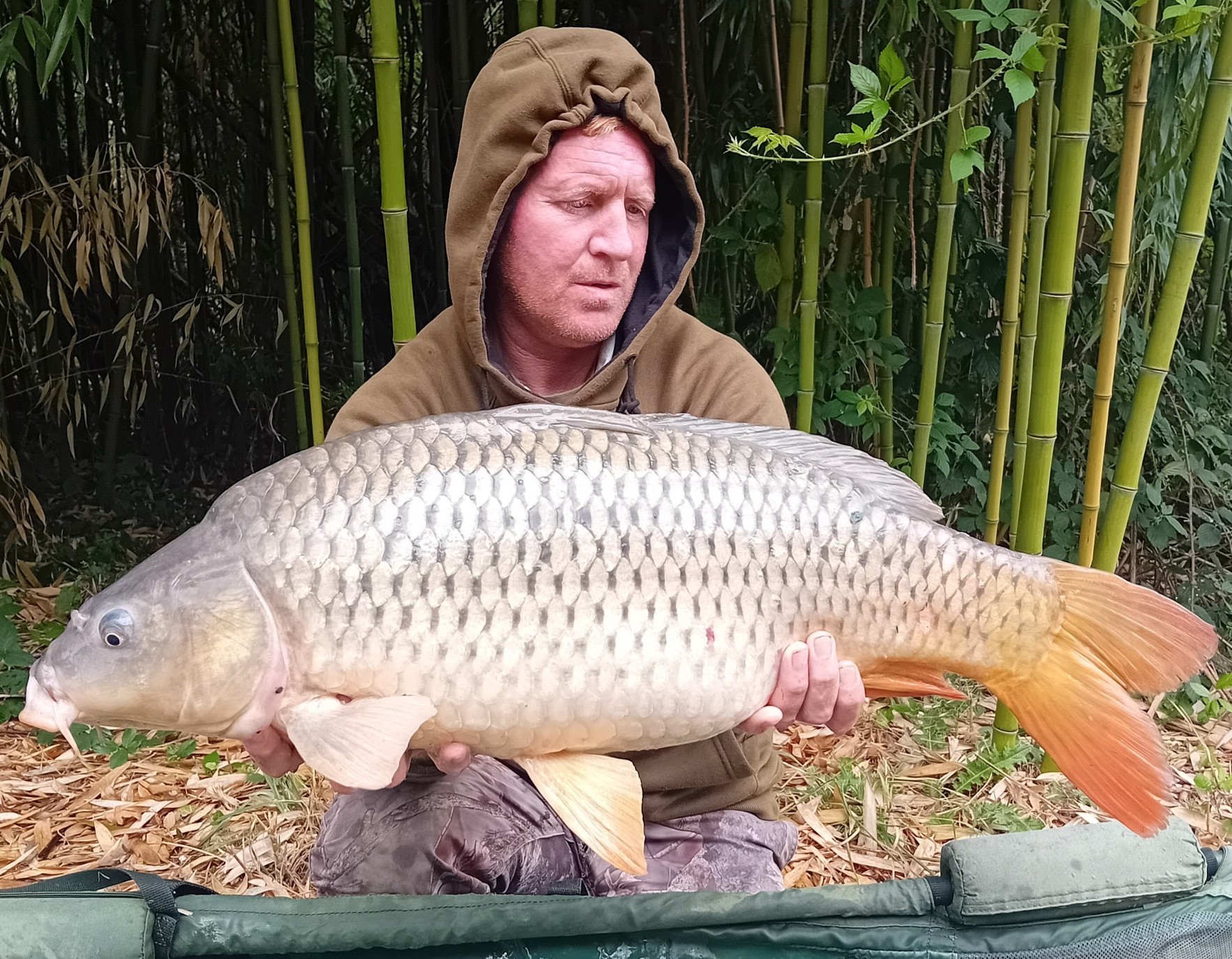 Kingfisher Lake – Carp France – 16 August, 2025