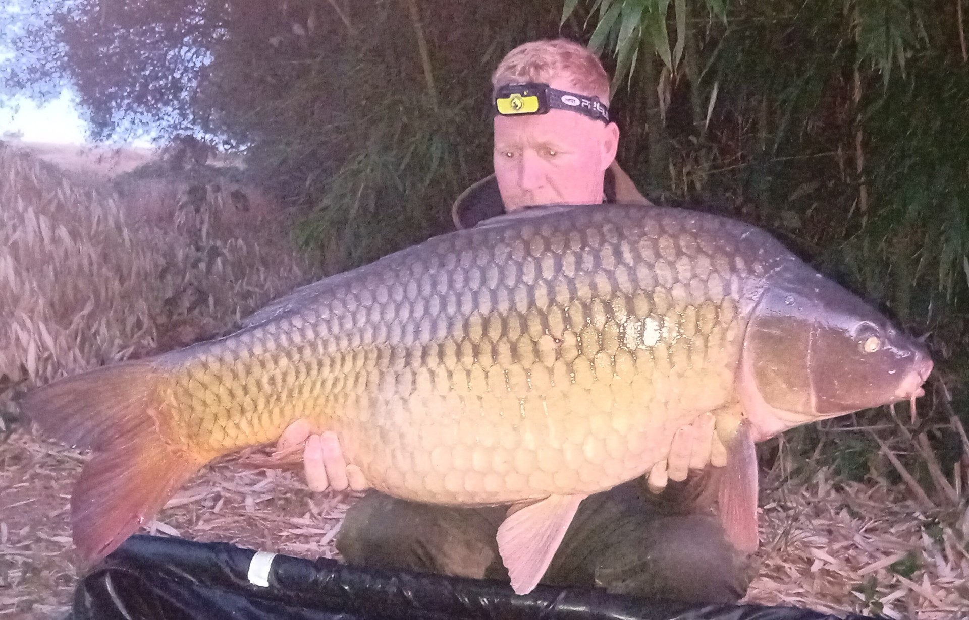 Kingfisher Lake – Carp France – 16 August, 2025