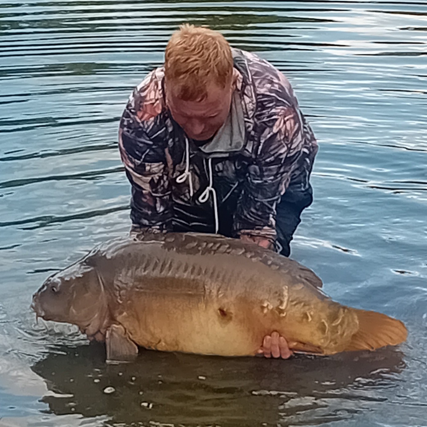 Kingfisher Lake – Carp France – 16 August, 2025