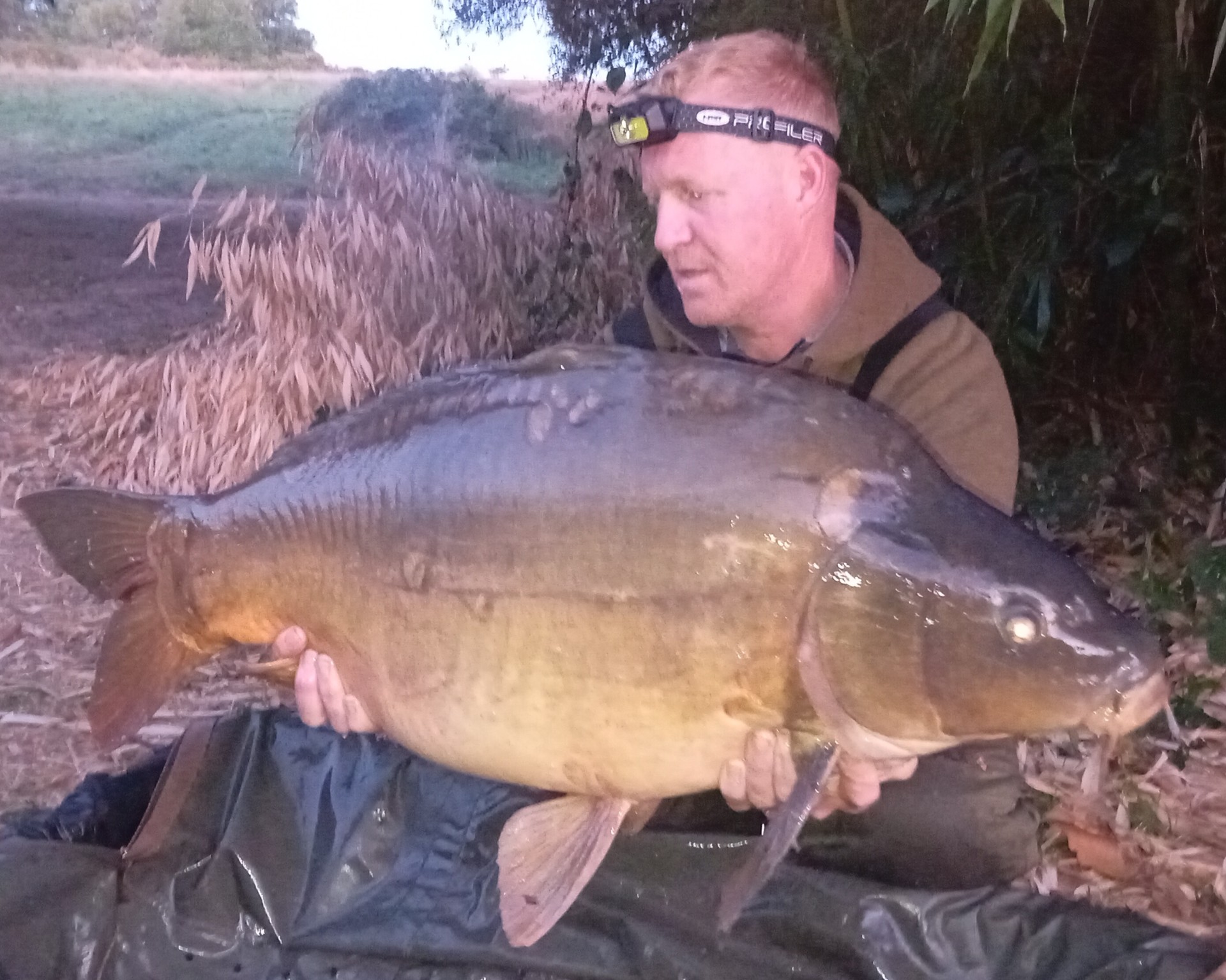 Kingfisher Lake – Carp France – 16 August, 2025