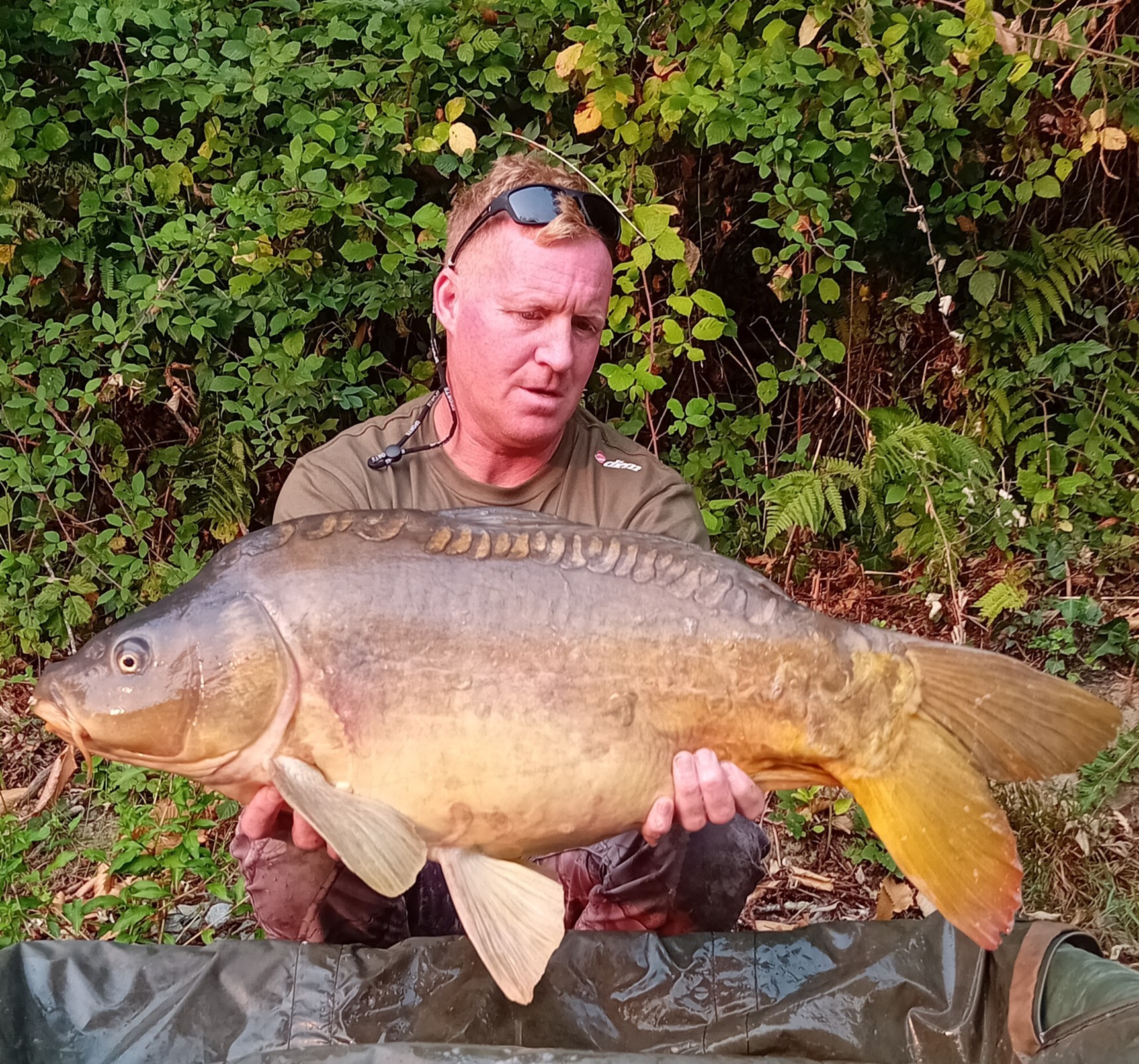 Kingfisher Lake – Carp France – 16 August, 2025