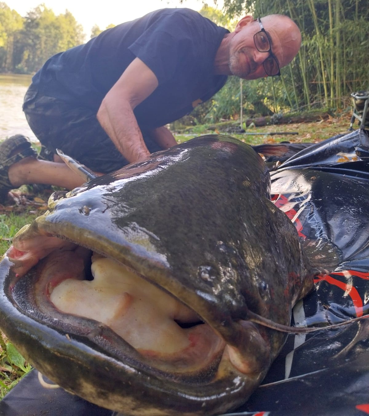 Kingfisher Lake – Carp France – 30 August, 2025