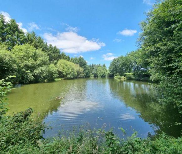 8.5 acre lake in Lassay les Chateaux, Mayenne, Pays-de-la-Loire Image