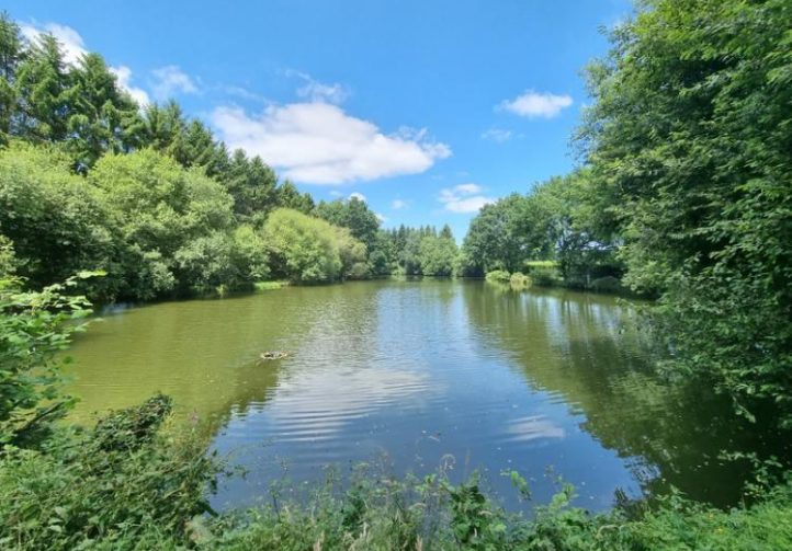8.5 acre lake in Lassay les Chateaux, Mayenne, Pays-de-la-Loire Image