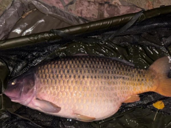 Etang de Janine – 20 September, 2025