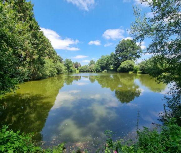 8.5 acre lake in Lassay les Chateaux, Mayenne, Pays-de-la-Loire Image