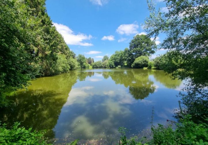 8.5 acre lake in Lassay les Chateaux, Mayenne, Pays-de-la-Loire Image
